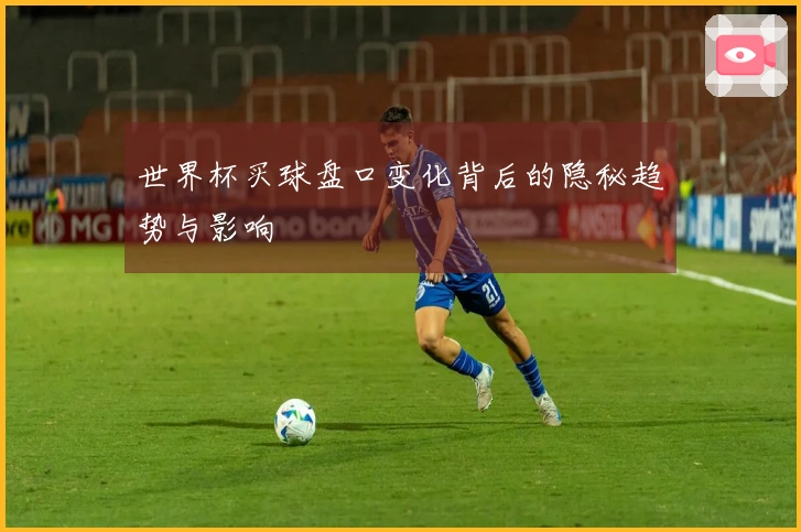 世界杯买球盘口变化背后的隐秘趋势与影响