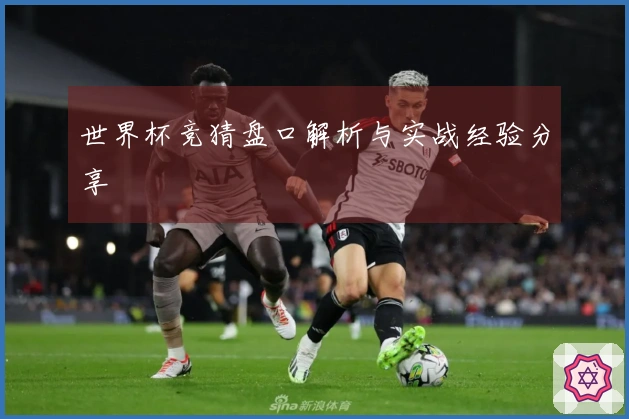 世界杯竞猜盘口解析与实战经验分享