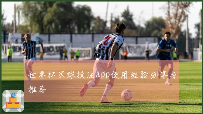 世界杯买球投注App使用经验分享与推荐