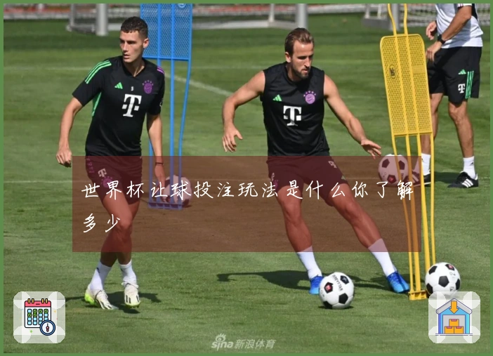 世界杯让球投注玩法是什么你了解多少