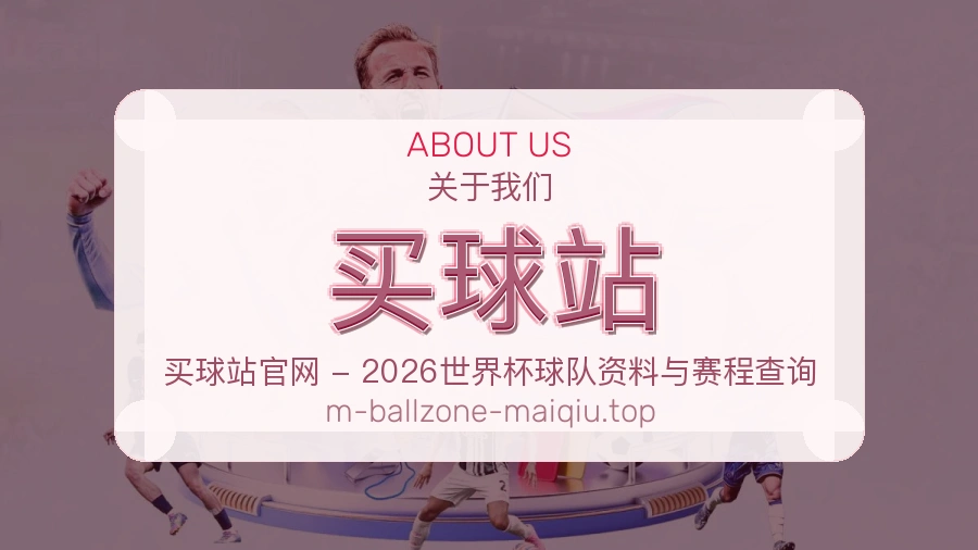 关于 买球站 团队与服务
